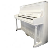 Samick JS118RID/WHHP -  �������,118x149x59, 214��, ������ "Roslau"(���.), ����� �����.,