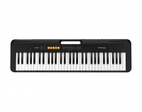 Casio CT-S100 ���������� 
