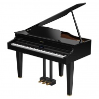 Roland GP-607PE �������� �����