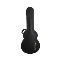 Washburn GC78 CASE - ���� ��� �������� �������� ������������