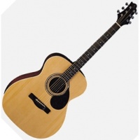 GregBennett OM2/N - ������������ ������, ���, �����, ����.(���������)