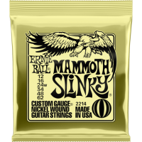 Ernie Ball 2214 ������ ��� ������������. ������: 12-16-24w-34-48-62