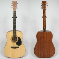 Cort AD 810-NS ������������ ������
