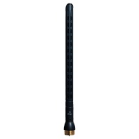 AKG CK47 -  �������� ������� `�����` � ���������������� ����������