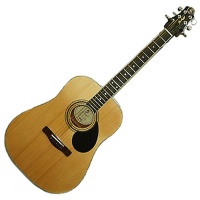 GregBennett GD100S - �����. ������, dreadnought, ���, �����, ����.(���������)