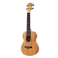 Enya EUC-25D ������� 