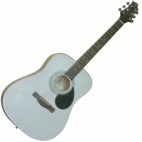 GregBennett D1/PW - �����. ������, dreadnought, Nato, �����, ����.(���������), ��. ����� �������.