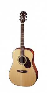 Cort EARTH100-NS Earth Series ������������ ������, ���� ����������� �������