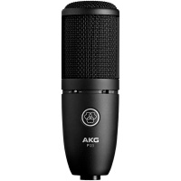 AKG P120 - �������������� ����������� ��������, �������� 2/3", 20-20000��, 22��/��, SPL ��150��