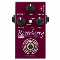 AMT RY-1 Reverberry �������� ������������ RY-1