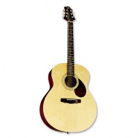 GregBennett GJ100S/N - �����. ������, ����. "������", ���, ���� �����������
