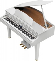 Roland GP-607 PW �������� �����