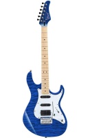 Cort G250DX-TB G Series �������������, �����