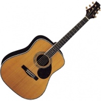 GregBennett D8 - ������������ ������, dreadnought, ���. ����, �����, ����.(���������)