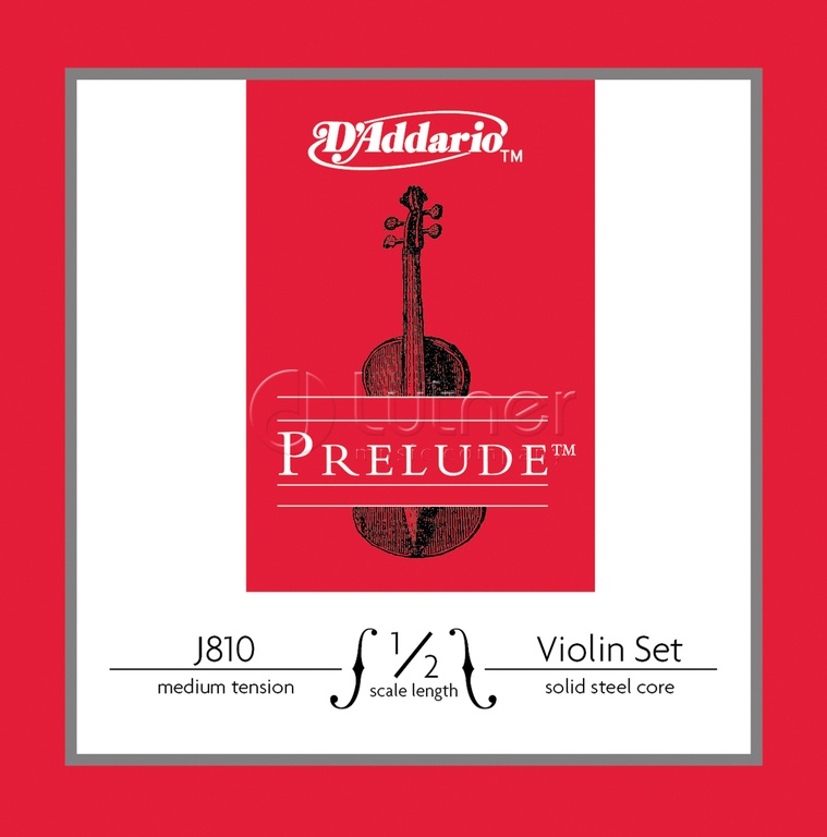D`Addario J810-1/2M PRELUDE �������� ����� ��� ������� 