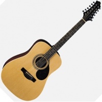 GregBennett D2/12 - ������������ ������ 12 ��������, dreadnought, ���, �����, ����.(���������)