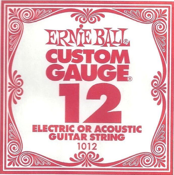 Ernie Ball 1012 ������ ��� ������ 12
