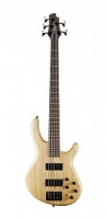 Cort Action-DLX-V-AS-OPN Action Series - 5-
