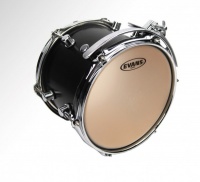 EVANS B13GP -  12"  - G Plus Coated