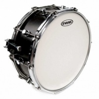 Evans B13HD -13" HD ,  (5  