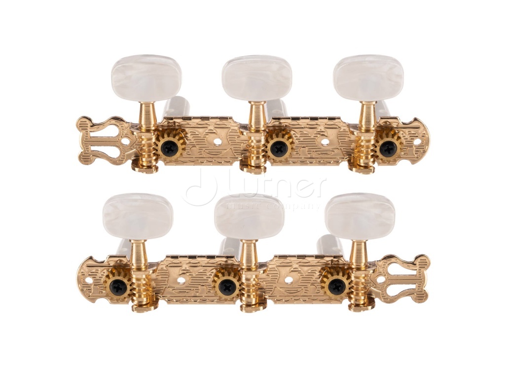 Paxphil JC-78-3+3-GD    ,  , 